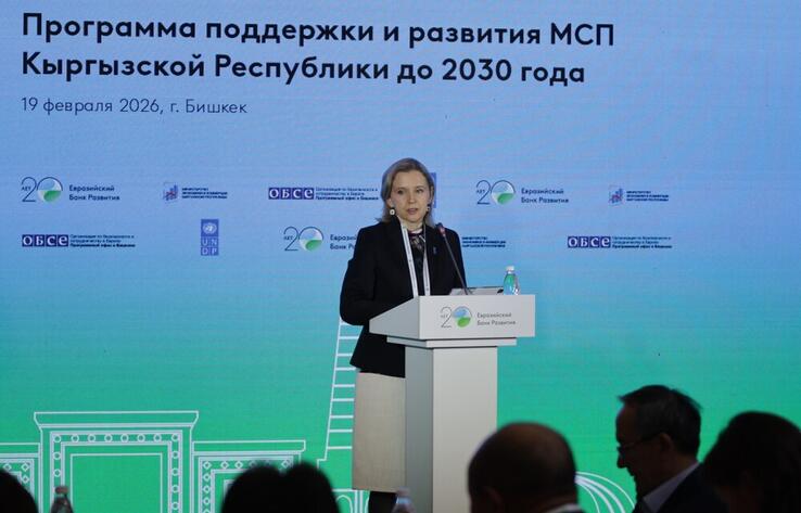 В Кыргызстане при поддержке ЕАБР, ПРООН и ОБСЕ разработают программу развития МСП до 2030 года