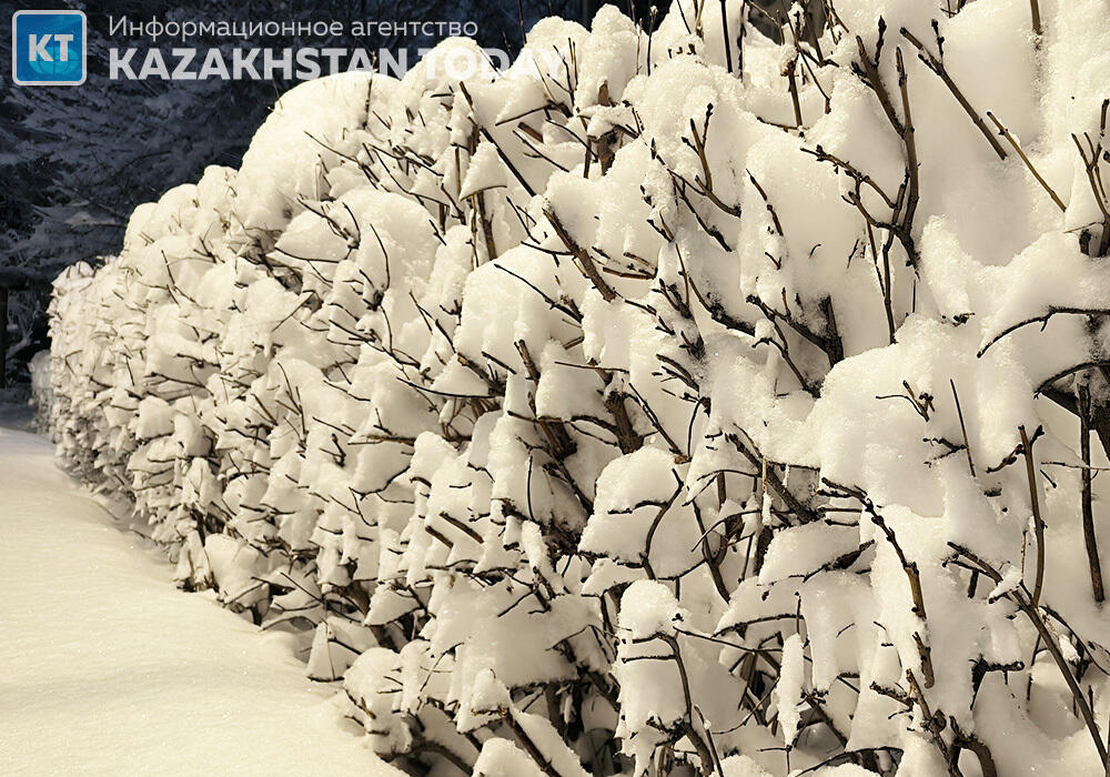 Heavy snow and snowstorms to sweep across Kazakhstan
