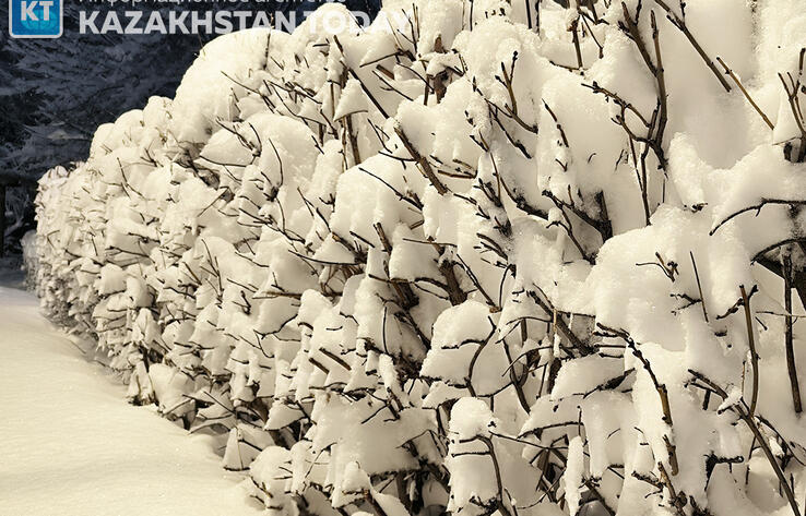 Heavy snow and snowstorms to sweep across Kazakhstan
