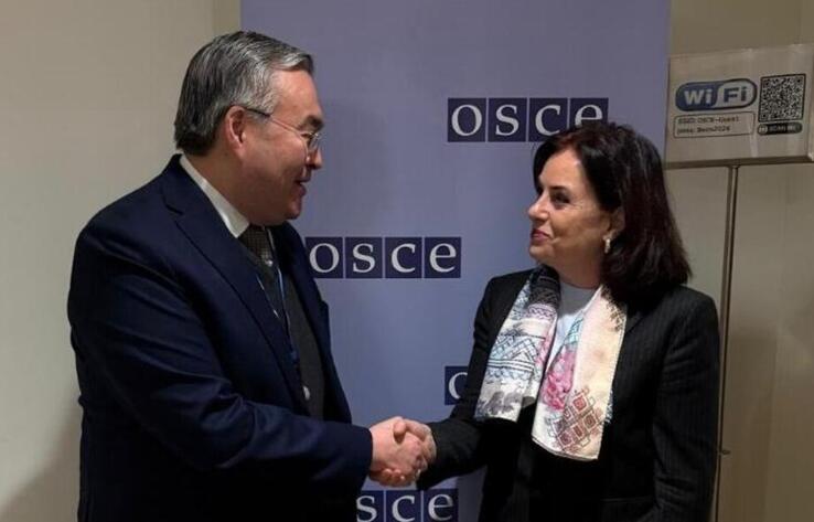 Венада Қазақстандағы конституциялық реформалар талқыланды