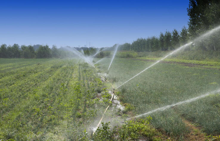 О рисках нехватки воды в южных регионах во время вегетации заявили в Министерстве водных ресурсов  