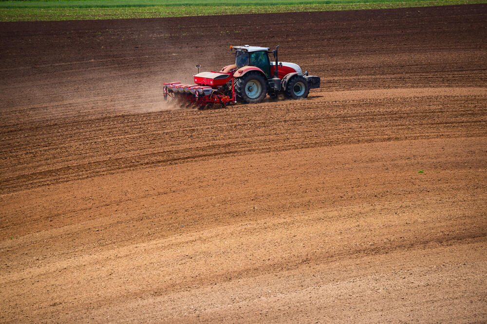 Areas Under Oilseed and Fodder Crops Expanded in Kazakhstan Ahead of the Upcoming Sowing Campaign