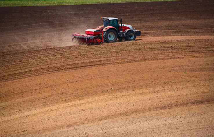 Areas Under Oilseed and Fodder Crops Expanded in Kazakhstan Ahead of the Upcoming Sowing Campaign