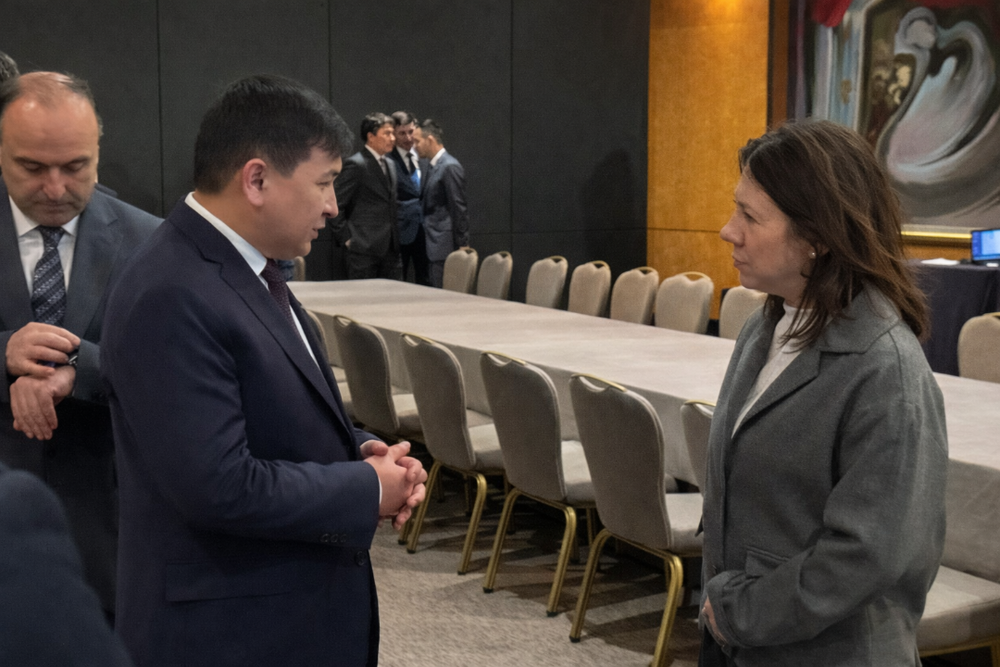 Новая Конституции, космические технологии и академические связи: казахстанские дипломаты провели ряд встреч за рубежом
