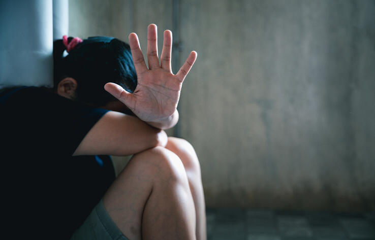 Детский омбудсмен рассказала о ходе расследования дел об изнасиловании несовершеннолетних