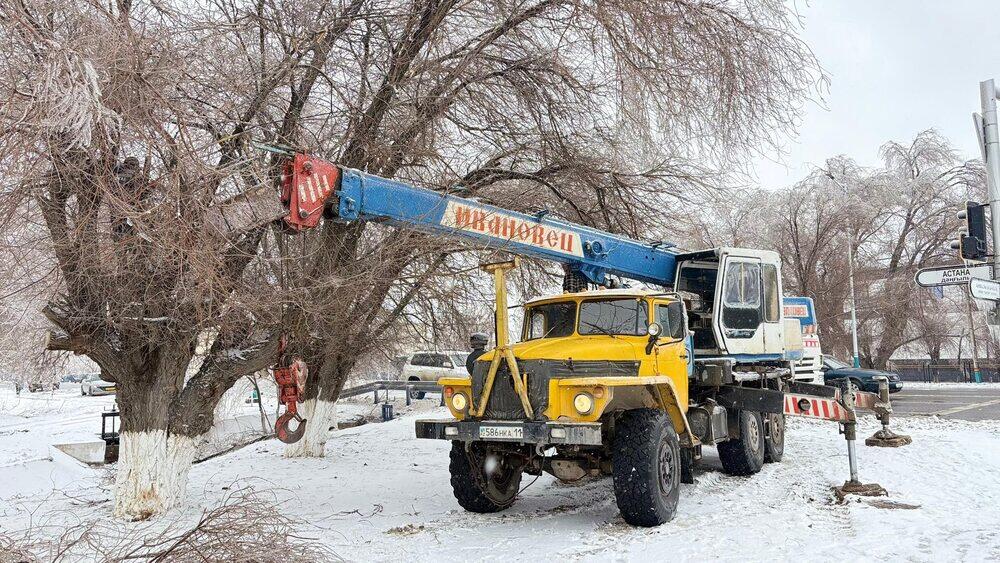 Сильный ветер повалил деревья и повредил линии электропередачи в Кызылорде 