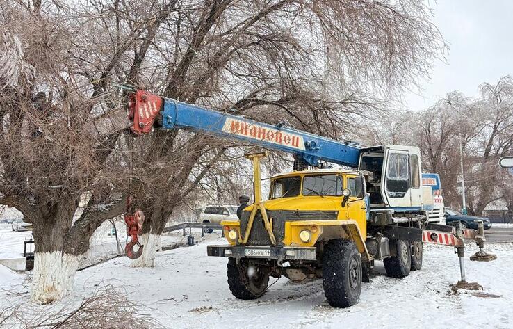 Сильный ветер повалил деревья и повредил линии электропередачи в Кызылорде 
