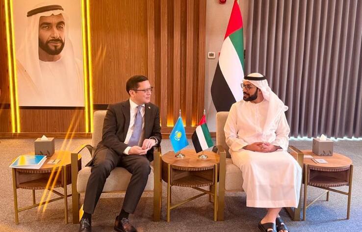 Kazakhstan and the UAE Intensify Educational Dialogue