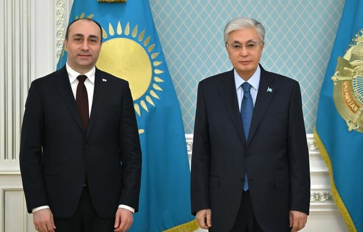 Мемлекет басшысы Грузияның Ішкі істер министрі Гела Геладзені қабылдады