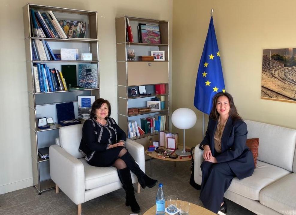 Kazakhstan’s Constitutional Reform in the Focus of Parliamentary Assembly of the Council of Europe