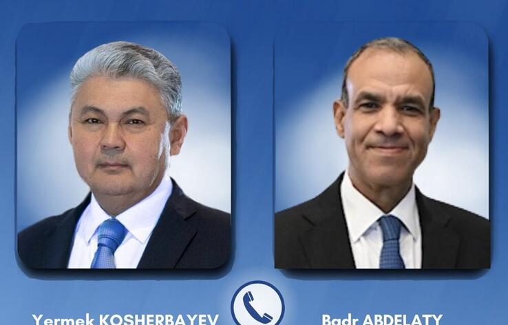 Foreign Ministers of Kazakhstan and Egypt Discuss Regional Situation
