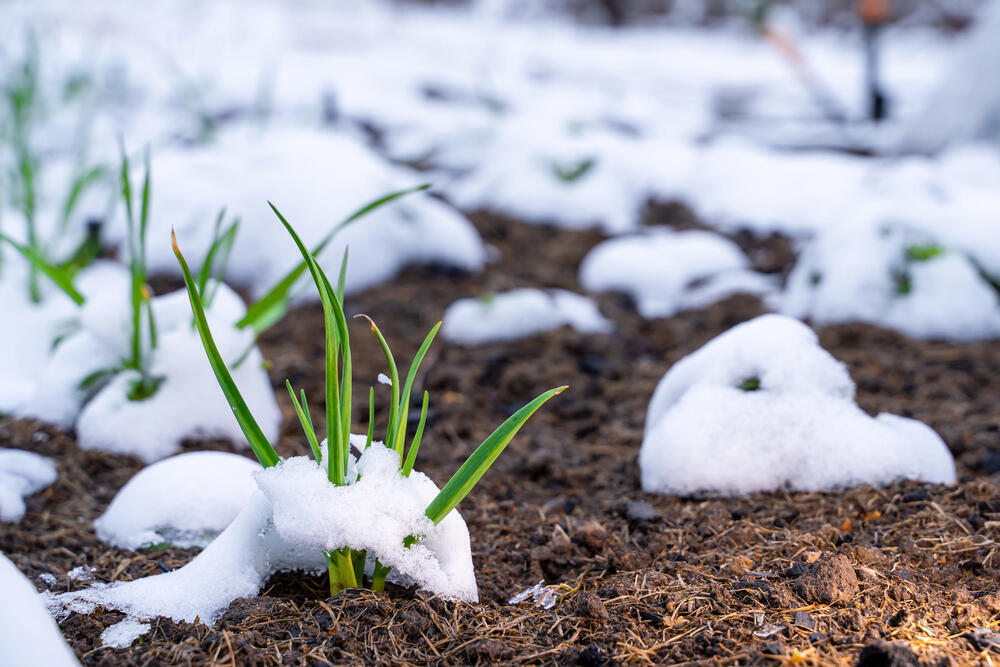 Snow and rain set to batter Kazakhstan on March 9
