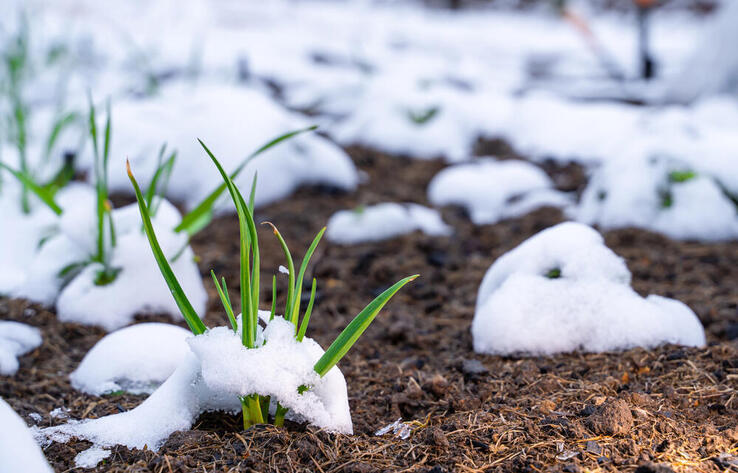 Snow and rain set to batter Kazakhstan on March 9