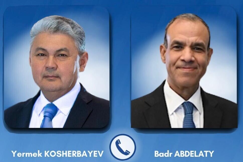 Қазақстан мен Мысыр сыртқы істер министрлері өңірдегі жағдайды талқылады