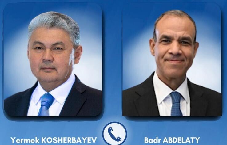 Қазақстан мен Мысыр сыртқы істер министрлері өңірдегі жағдайды талқылады