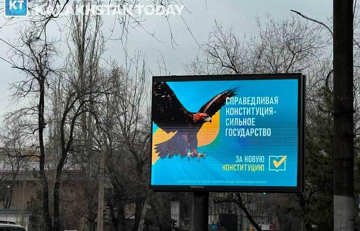 Явка на референдуме по новой Конституции на 14.00 составила 51,93%
