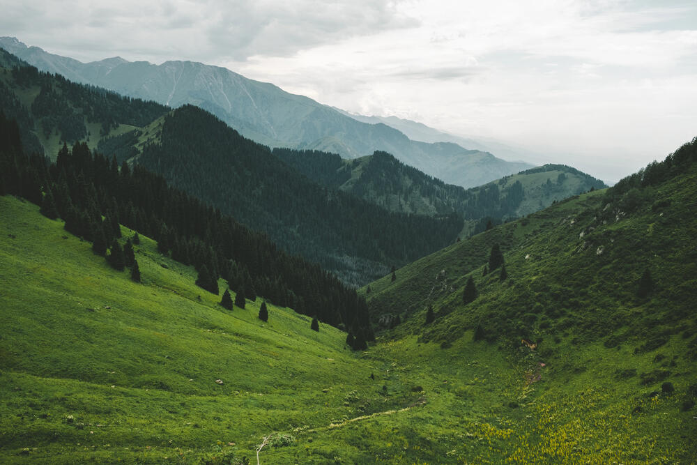 Усиление селеопасности, загрязнение воды и деградация среды - активистка назвала риски застройки Кок-Жайляу
