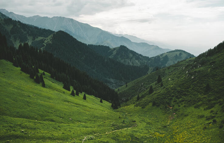 Усиление селеопасности, загрязнение воды и деградация среды - активистка назвала риски застройки Кок-Жайляу
