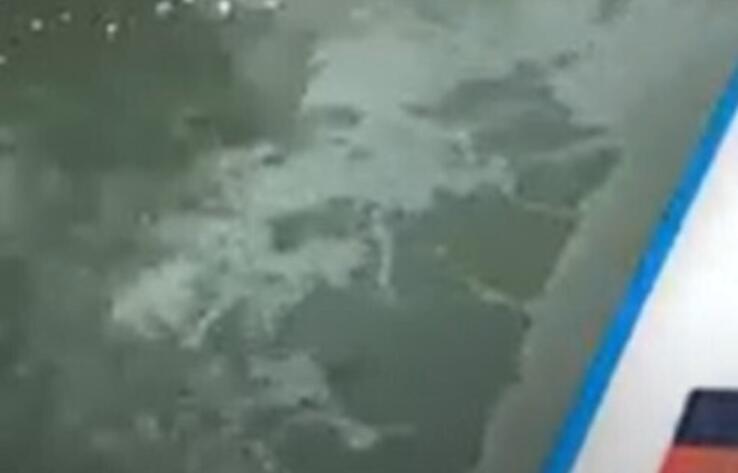 Экологи проверят Иртыш на возможное загрязнение