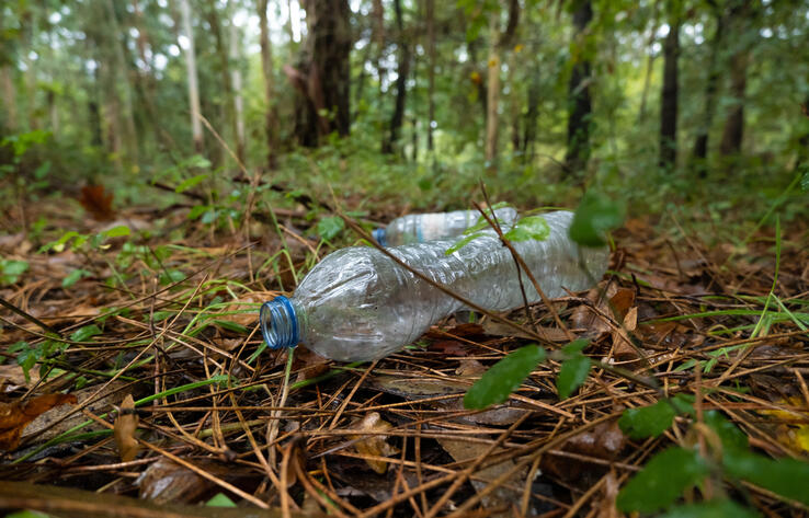 Состояние Кок-Жайляу вызывает большую тревогу - экоактивистка 
