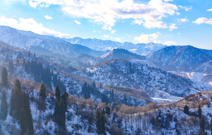 Проект несет в себе экологические, экономические и социальные риски - активистка о застройке Кок-Жайляу 