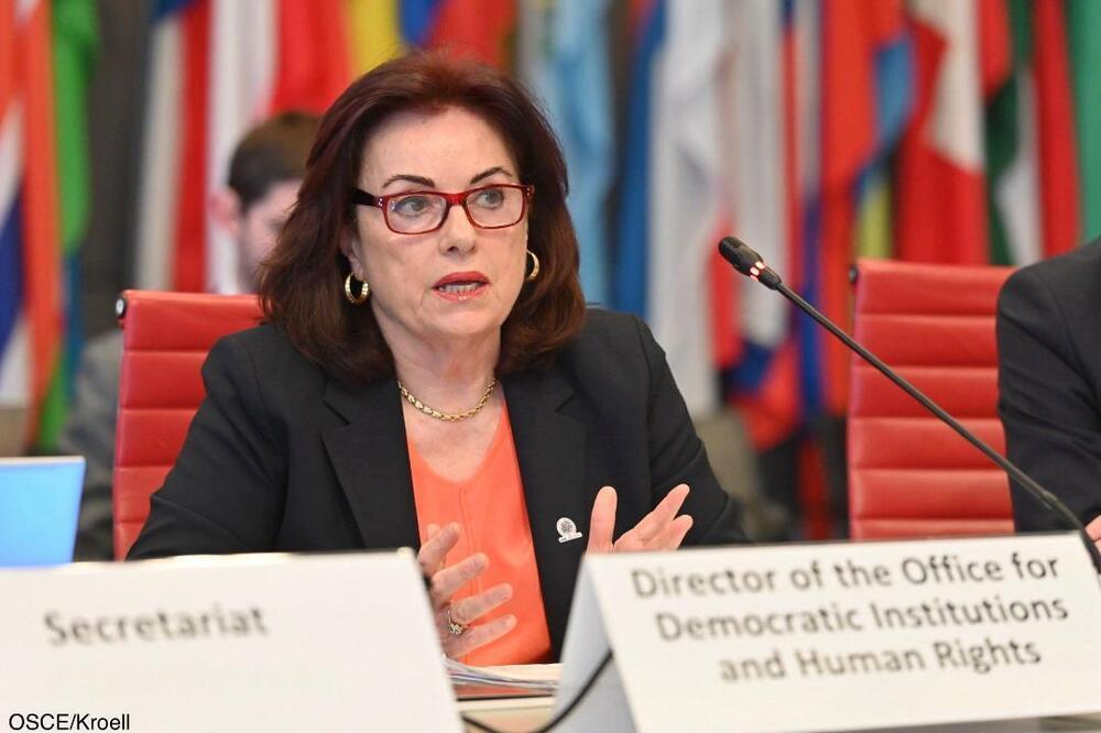 The Results of the Referendum on the Adoption of the New Constitution of Kazakhstan were Announced at the OSCE Meeting in Vienna