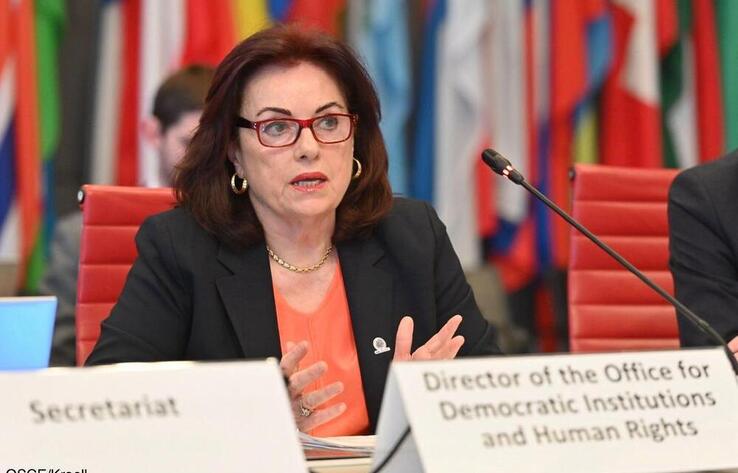 The Results of the Referendum on the Adoption of the New Constitution of Kazakhstan were Announced at the OSCE Meeting in Vienna