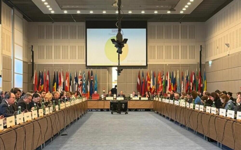 ЕҚЫҰ-да Қазақстанның жаңа Конституциясын қабылдау жөніндегі референдумның қорытындылары хабардар етілді