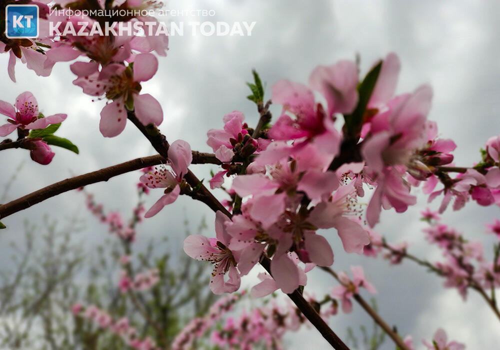 From icy north to arid south: Sunday weather alerts issued across Kazakhstan