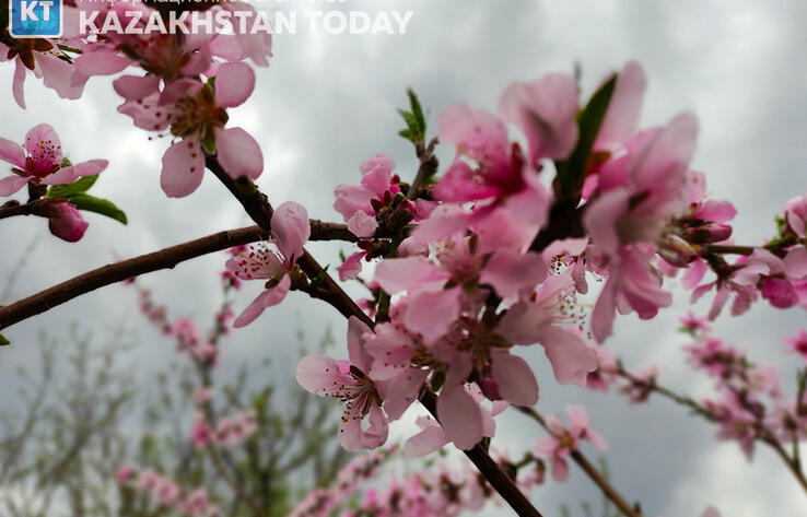 From icy north to arid south: Sunday weather alerts issued across Kazakhstan
