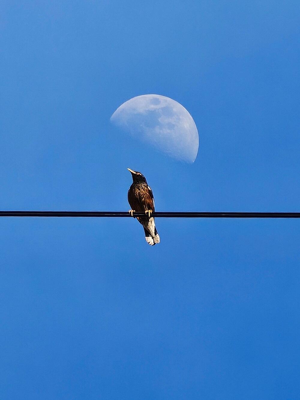 Тюльпаны, тепло и зелень: весна пришла на юг Казахстана. Фото: instagram/dots_foto