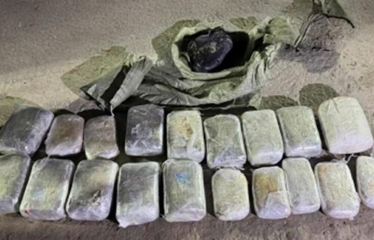 Есірткімен күрес: жыл басынан бері қанша қылмыс тіркелді