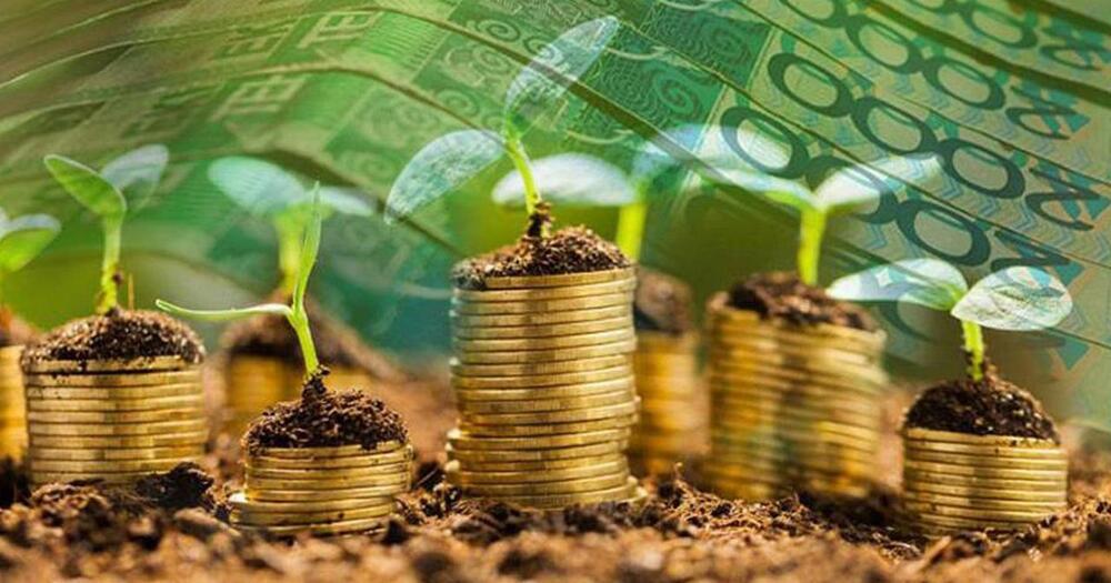 Объем экспорта казахстанской сельхозпродукции достиг рекордных 3,5 трлн тенге