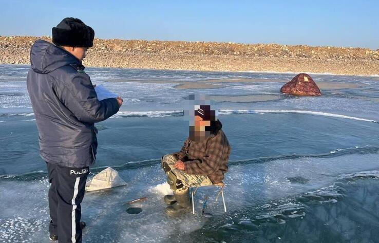 В Казахстане фиксируются масштабные факты браконьерства - сенатор