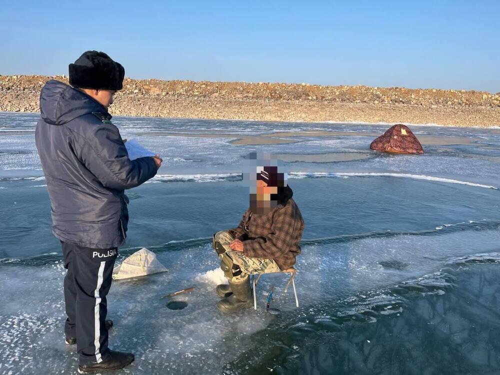 В Казахстане фиксируются масштабные факты браконьерства - сенатор