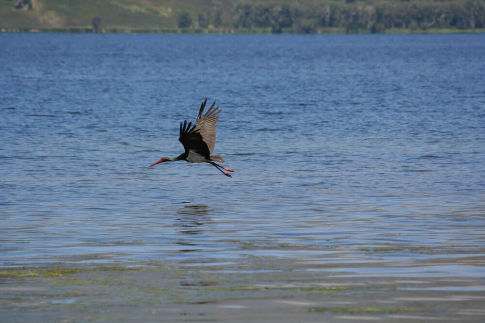 В Алматы состоялась фотовыставка, посвященная кораллам и редким животным 
. Фото: Геннадий Дякин