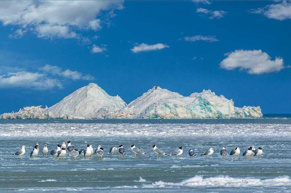 В Алматы состоялась фотовыставка, посвященная кораллам и редким животным 
. Фото: Владислав Якушкин