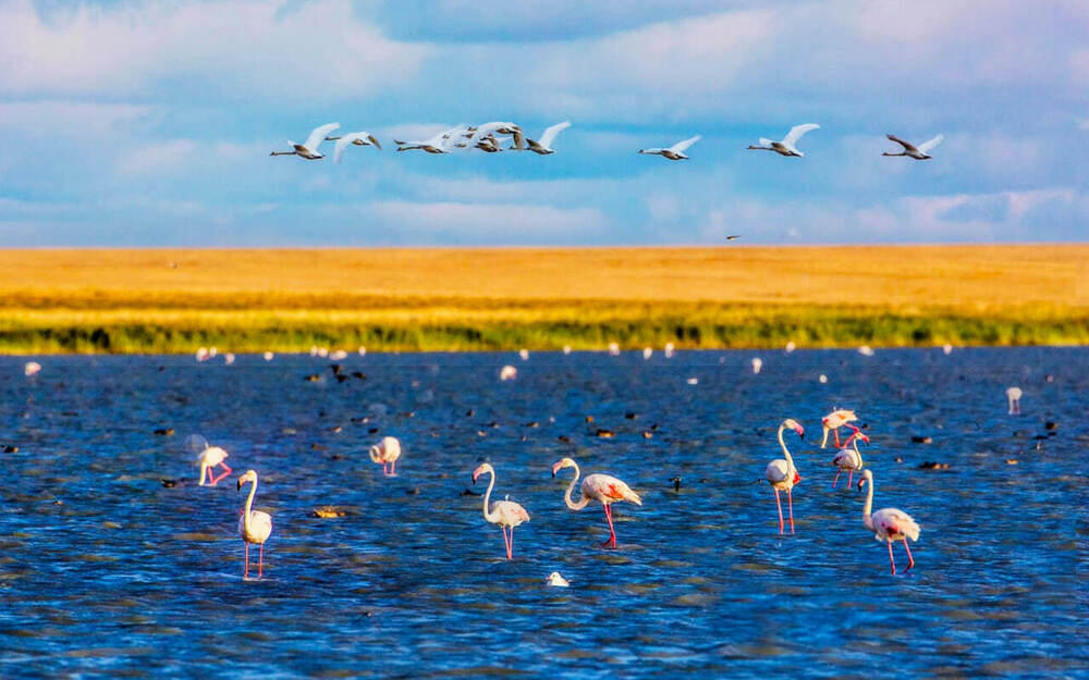 В Алматы состоялась фотовыставка, посвященная кораллам и редким животным 
. Фото: Владислав Якушкин