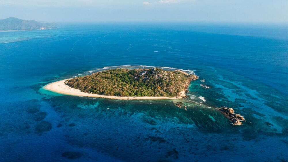 В Алматы состоялась фотовыставка, посвященная кораллам и редким животным 
. Фото: Canon