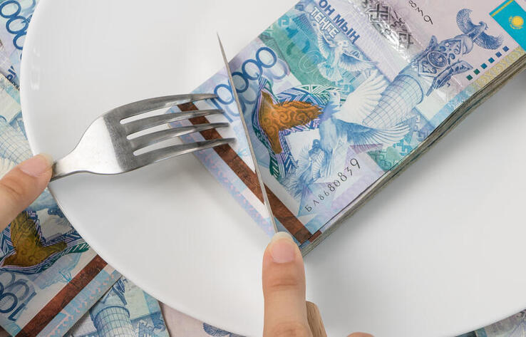 Научные гранты, животноводство и ОСМС: где выявили миллиардные растраты и хищения, доложил Токаеву глава АФМ 