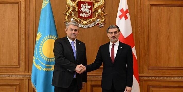 Глава МИД Казахстана и президент Грузии обсудили вопросы сотрудничества двух стран