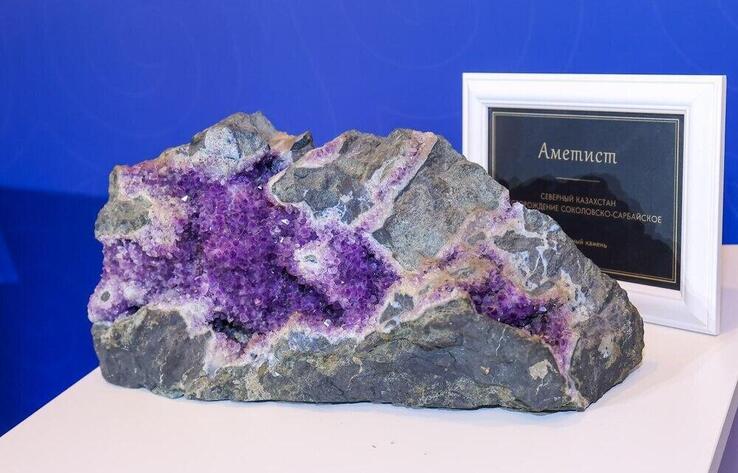 哈萨克斯坦三年内吸引约2800亿坚戈私人投资用于地质勘探