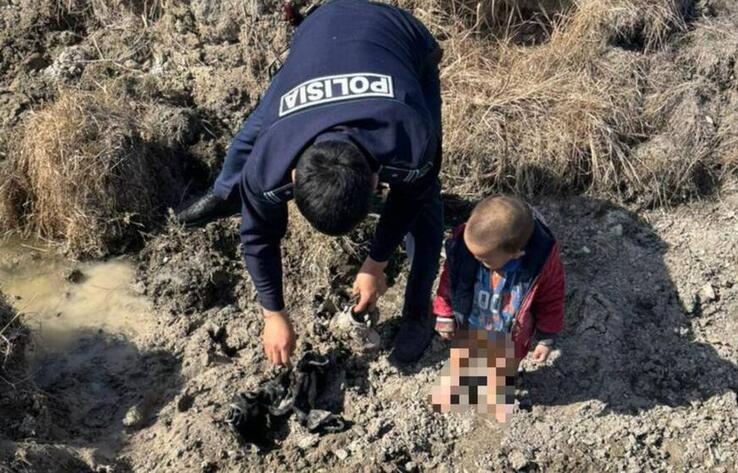 В области Абай трехлетний ребенок заблудился в степи