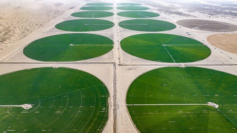 Песчаные земли превращаются в плодородные поля: на окраине пустыни Такла-Макан появились "зеленые круги". Фото: информационная компания Урумчи