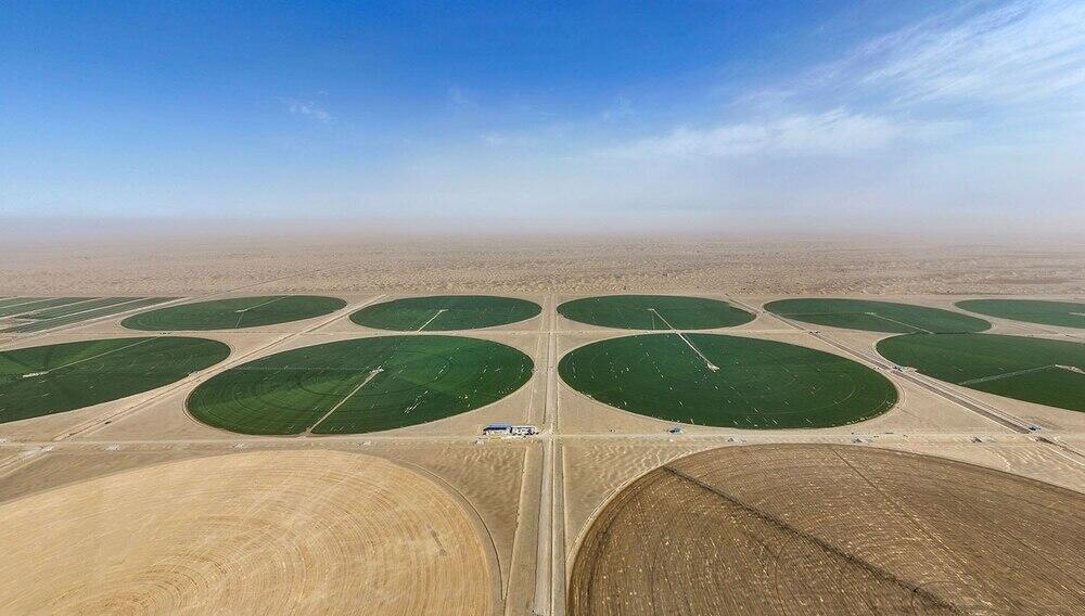 Песчаные земли превращаются в плодородные поля: на окраине пустыни Такла-Макан появились "зеленые круги". Фото: информационная компания Урумчи