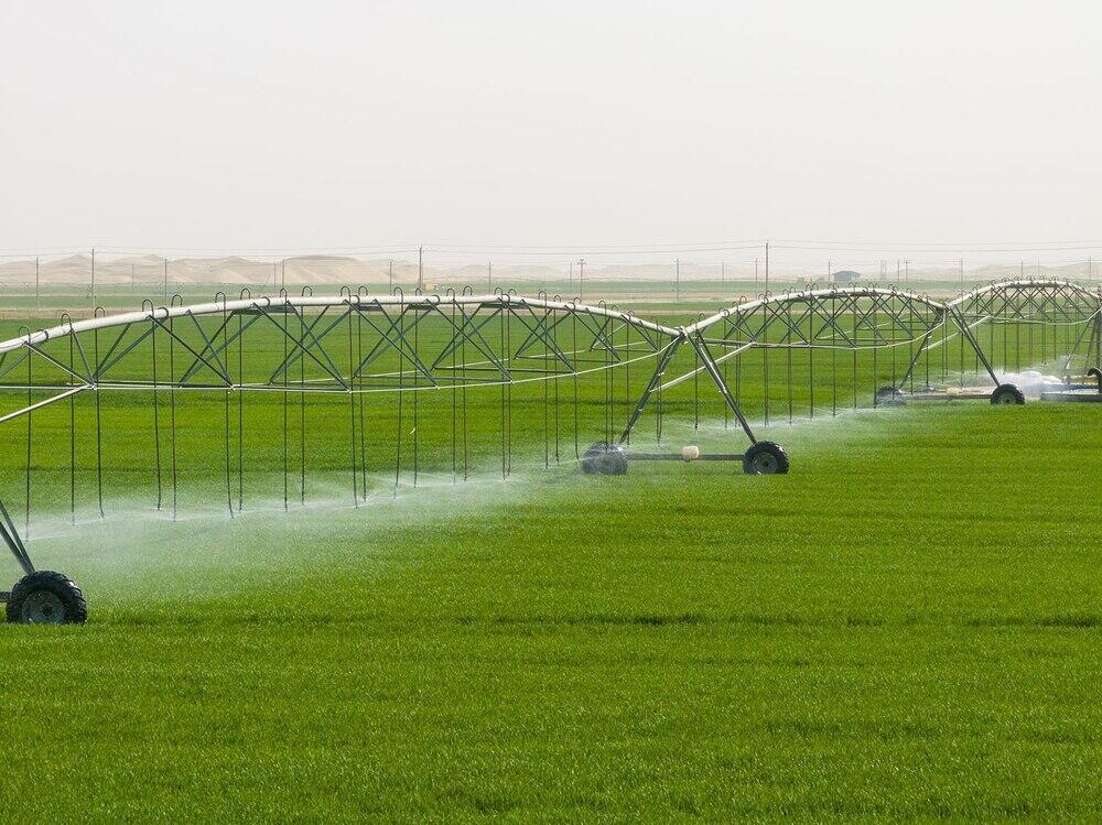 Песчаные земли превращаются в плодородные поля: на окраине пустыни Такла-Макан появились "зеленые круги". Фото: информационная компания Урумчи