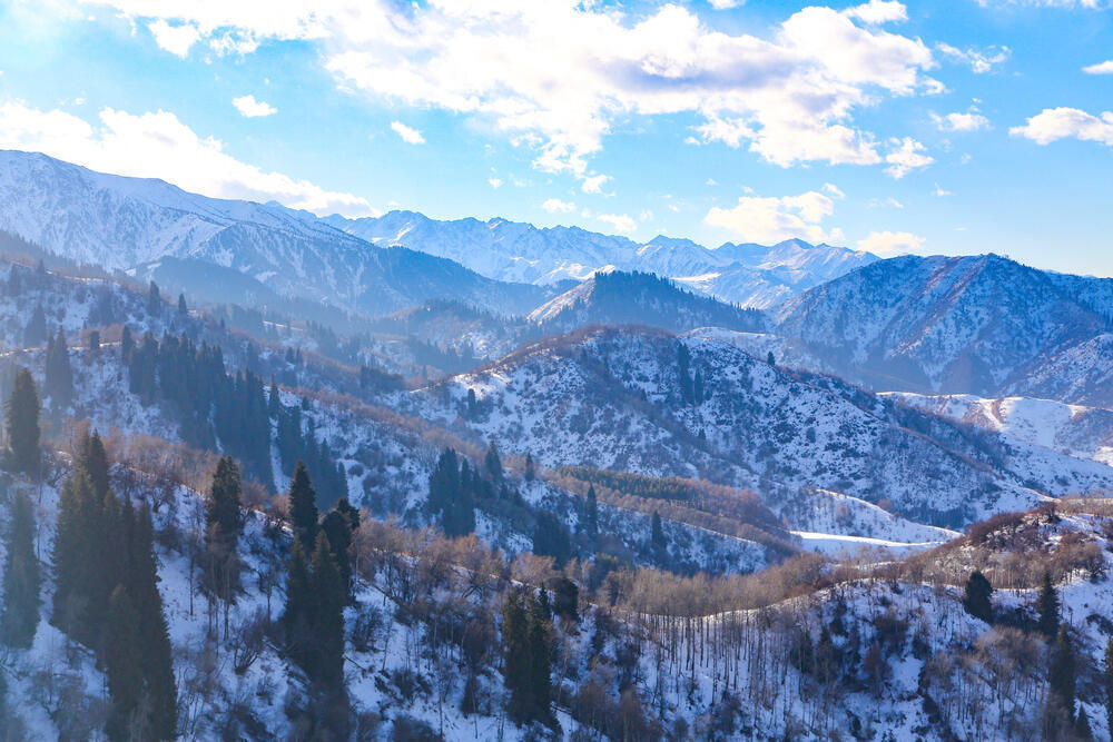 Опрос КТ: 80% респондентов считают, что застройка Кок Жайляу может привести к необратимым последствиям для экосистемы
