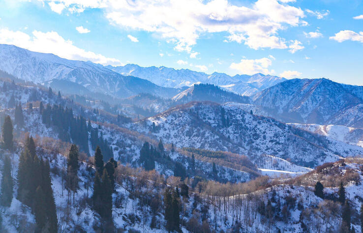 KT调查：80%的受访者认为开发科克贾伊劳将对生态系统造成不可逆转的后果