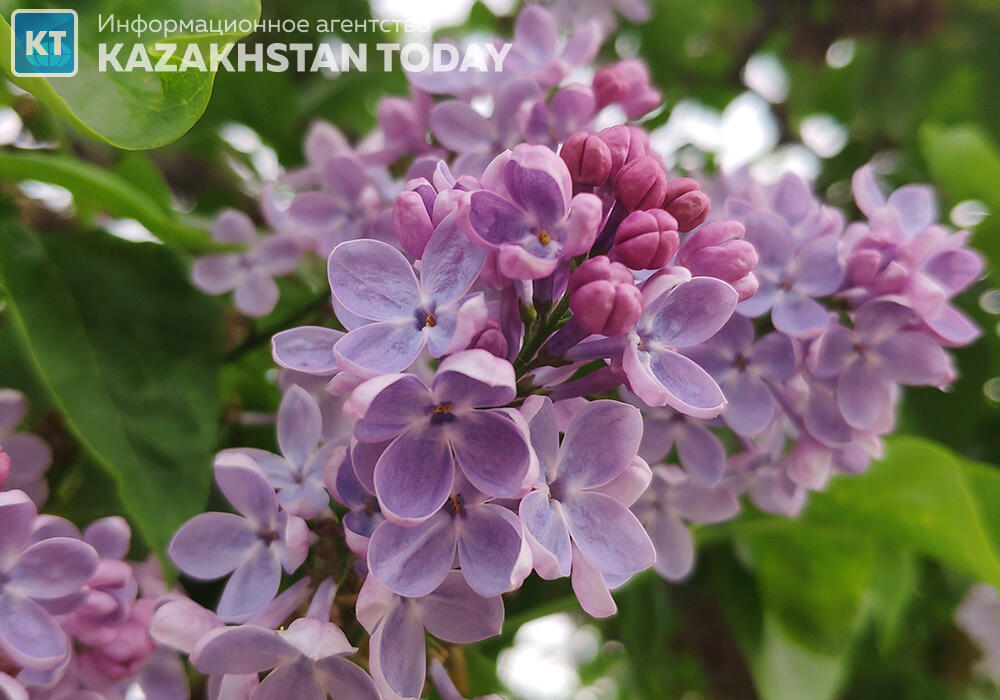 Warmer weather expected in Kazakhstan this weekend