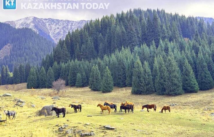 Стала известна дата общественных слушаний по проекту застройки Кок Жайляу